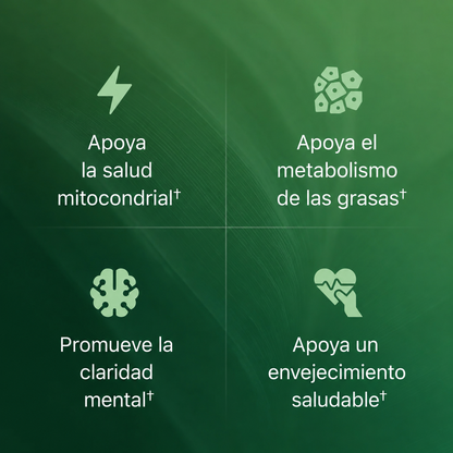 Peak Lab® – Reactivá tu energía celular desde adentro.