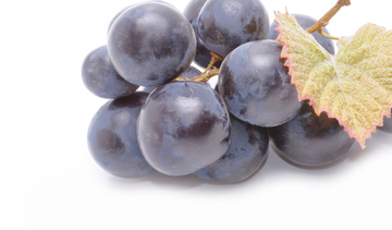 Resveratrol